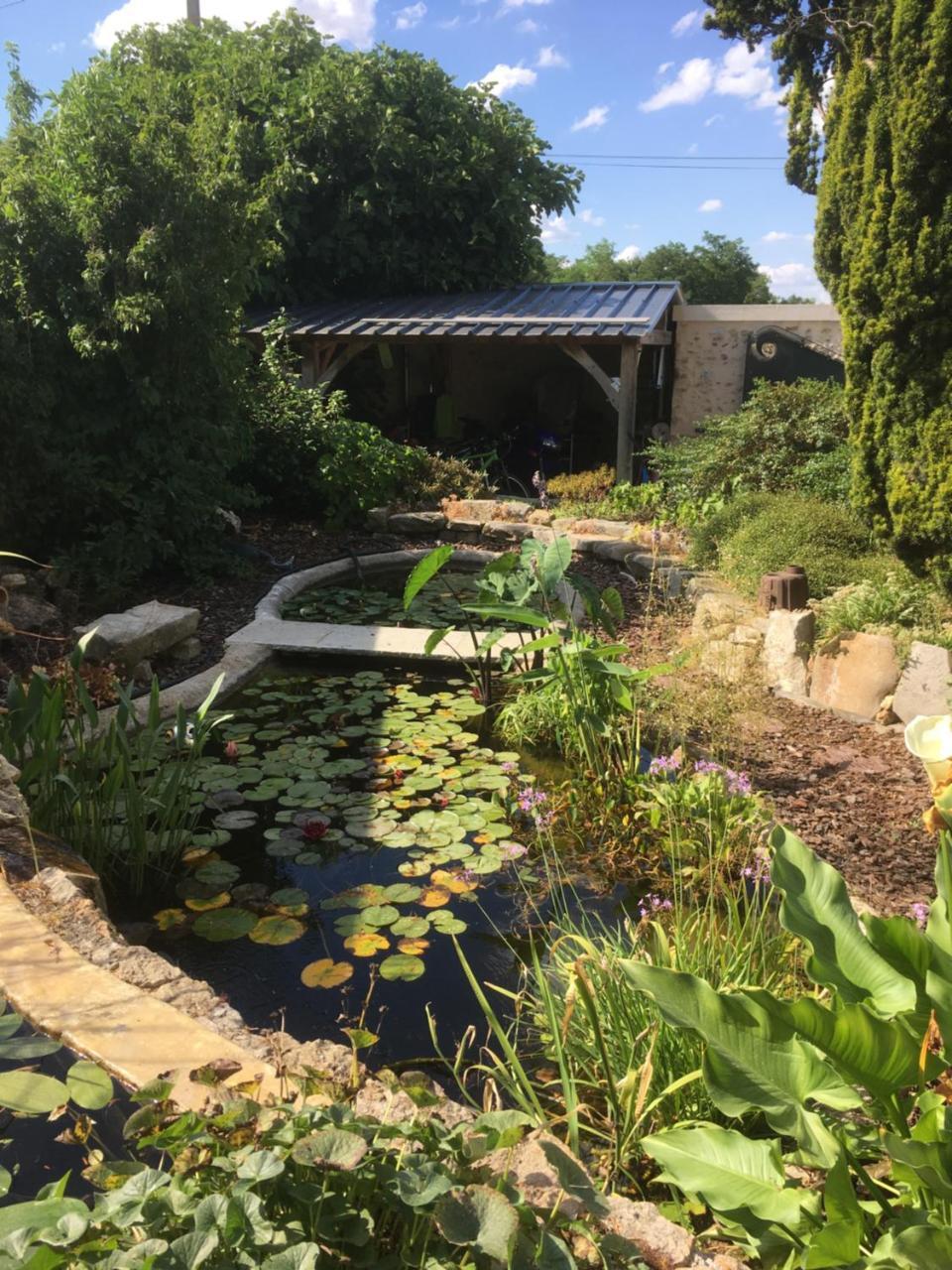 Maison D'Hotes Les Rainettes Breuillet  Exteriör bild